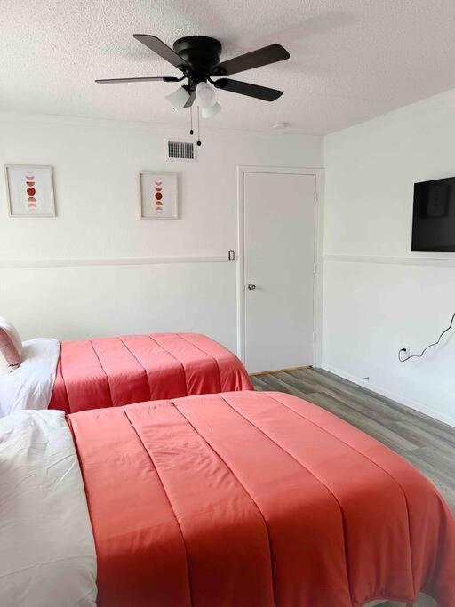 Sparkling Guest Home 2 Bedroom-15 Minutes To Clearwater Beach Eksteriør bilde